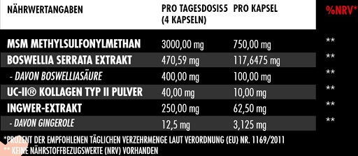 supp4u-24_supp4u-24_Big Zone Joint Protect 2.0 120 Kapseln